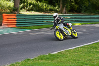 cadwell-no-limits-trackday;cadwell-park;cadwell-park-photographs;cadwell-trackday-photographs;enduro-digital-images;event-digital-images;eventdigitalimages;no-limits-trackdays;peter-wileman-photography;racing-digital-images;trackday-digital-images;trackday-photos